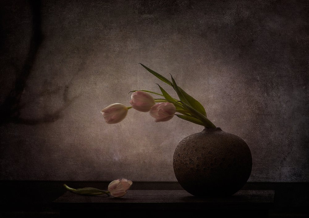 Elegantes tulipas melancólicas de Katarina Holmström