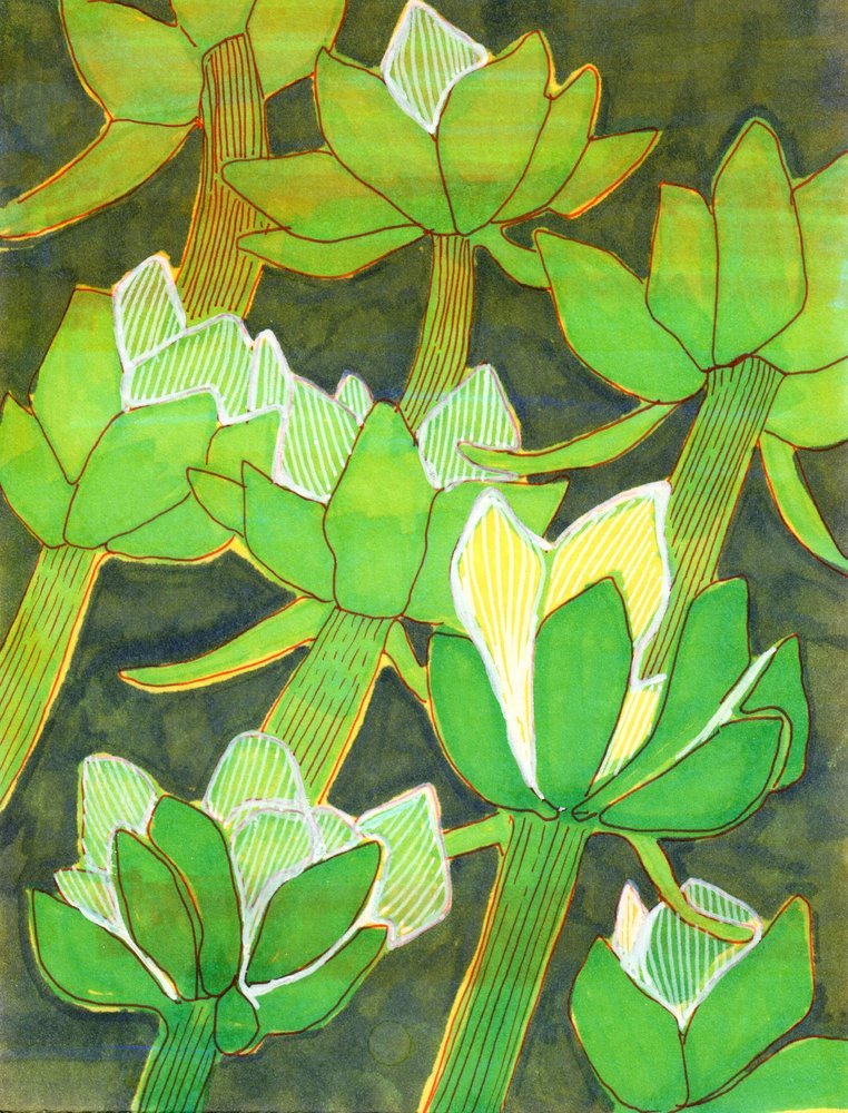 Alcachofras verdes exuberantes de Katie O'Shea