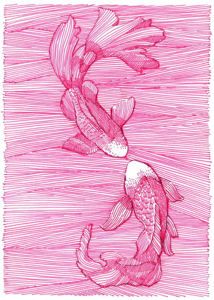 Dança de carpas koi cor-de-rosa de Katie O'Shea
