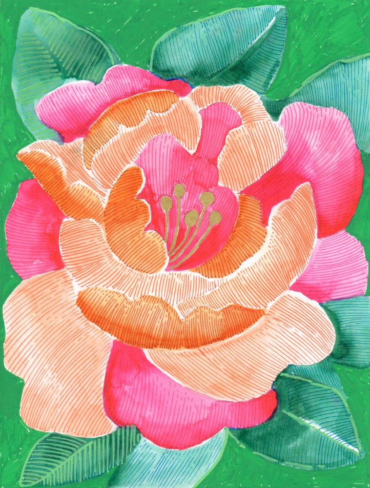 Floração floral vibrante de Katie O'Shea