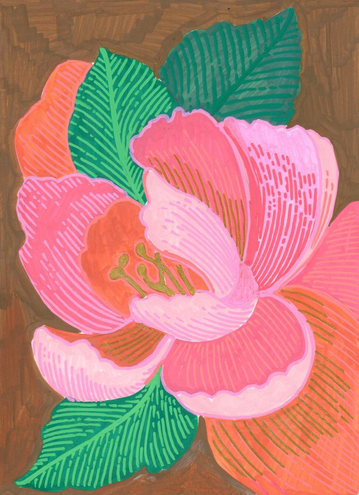 Flor floral cor-de-rosa vibrante de Katie O'Shea