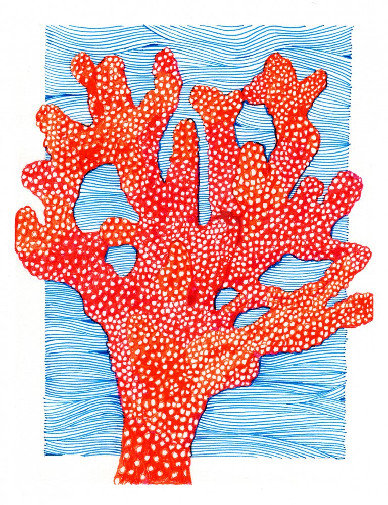 Coral vermelho vibrante de Katie O'Shea