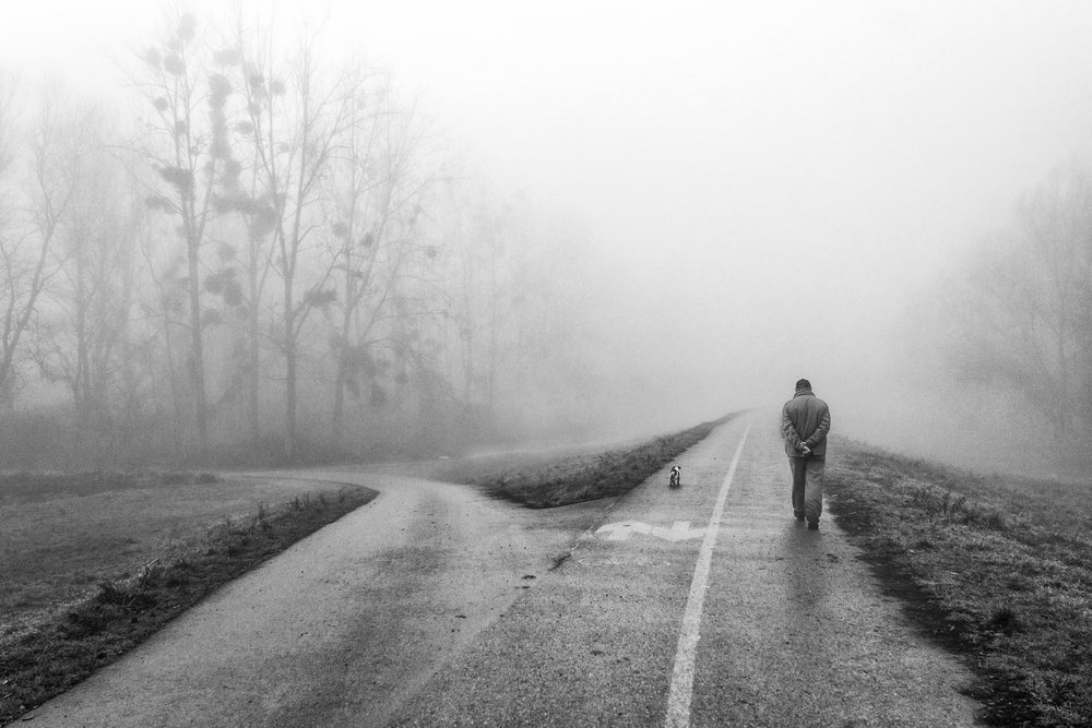  de Krunoslav Nevistic
