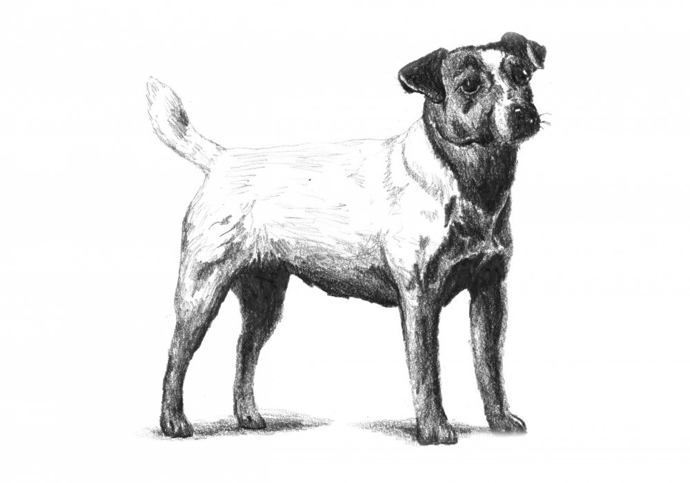  de Kulik