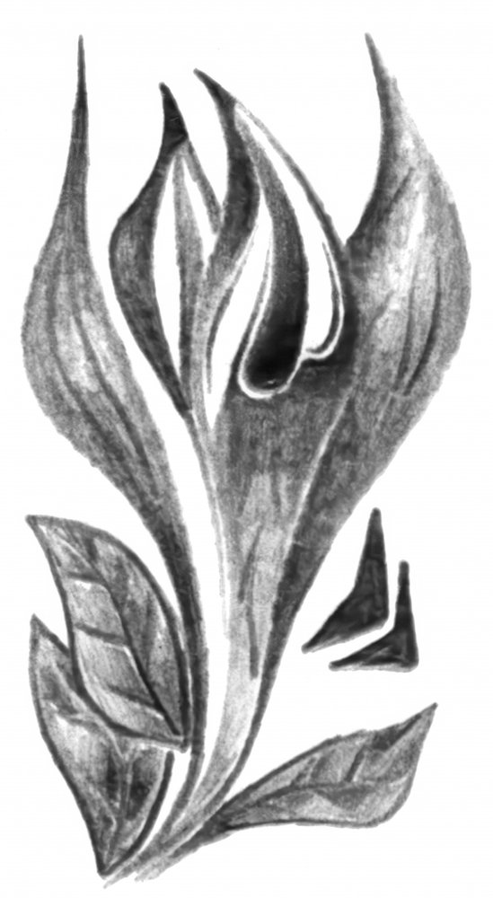  de Kulik
