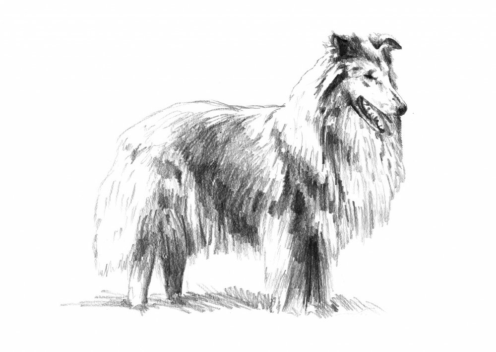  de Kulik