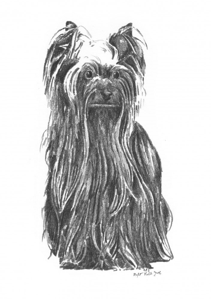  de Kulik