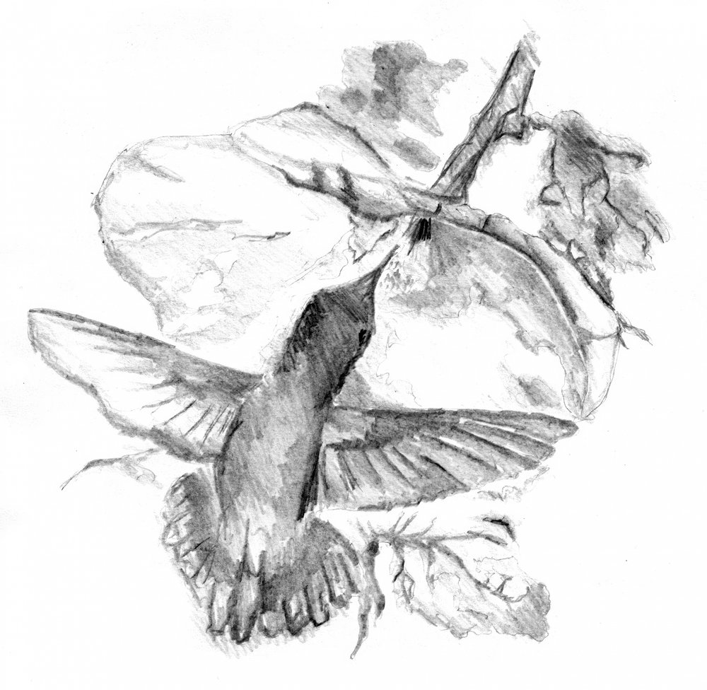  de Kulik