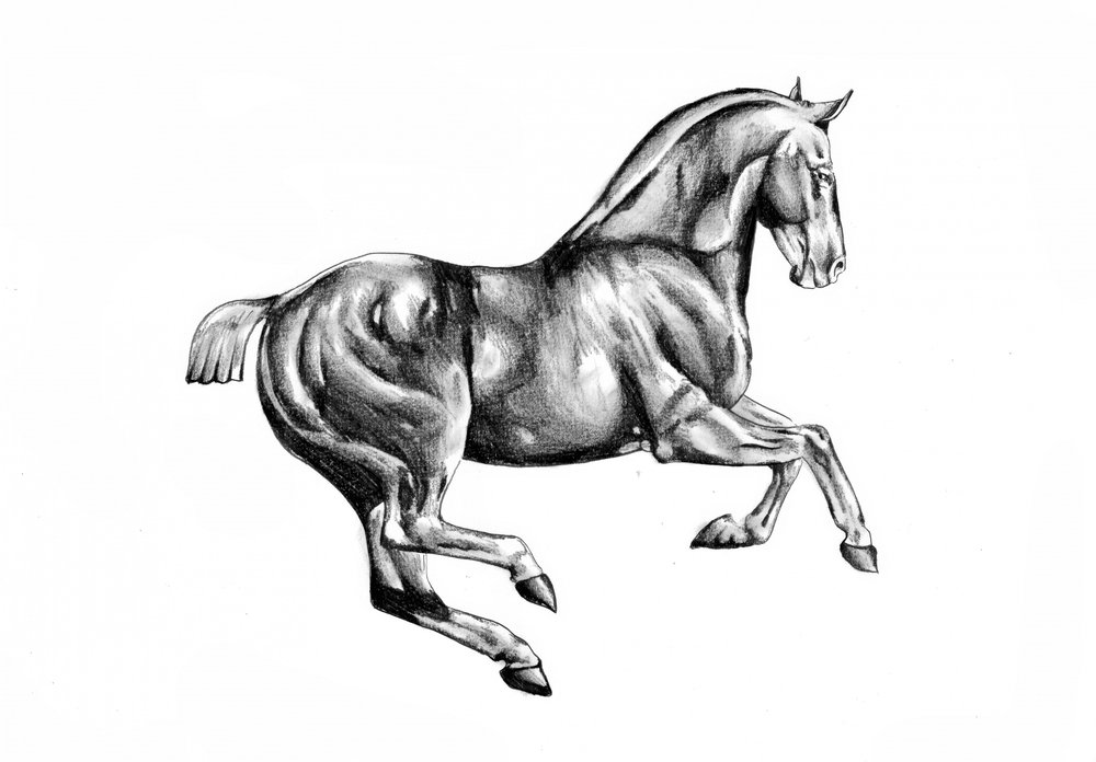  de Kulik