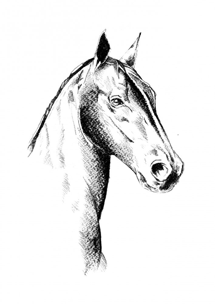  de Kulik