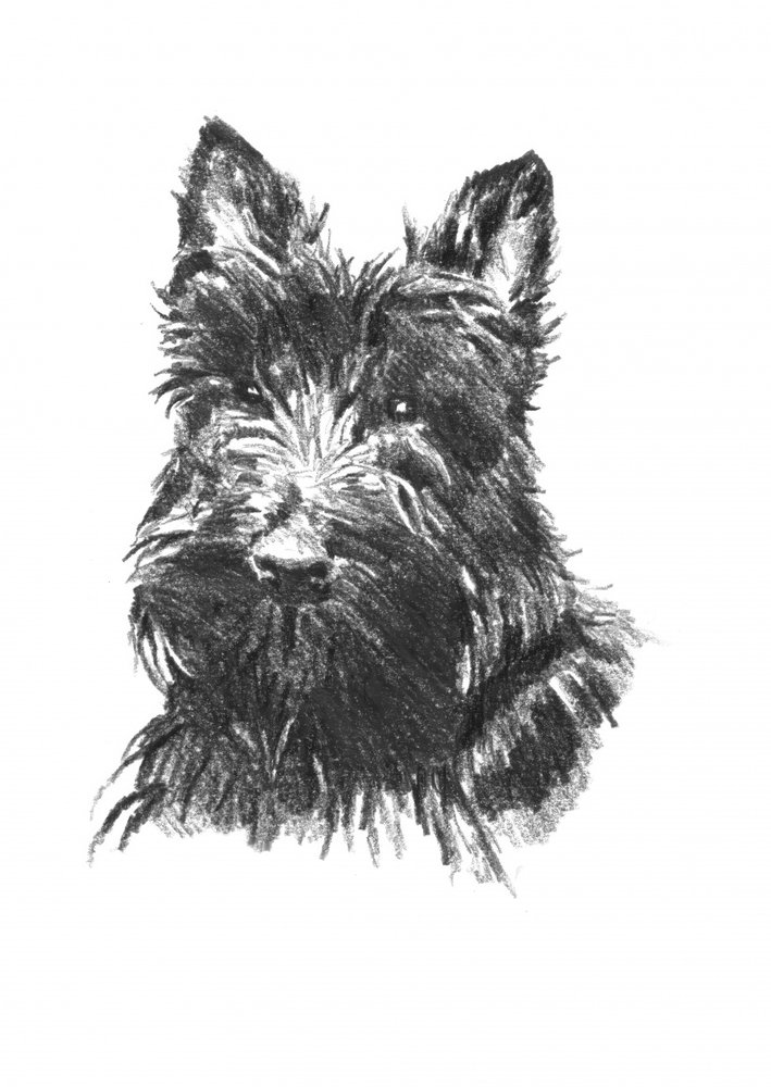  de Kulik