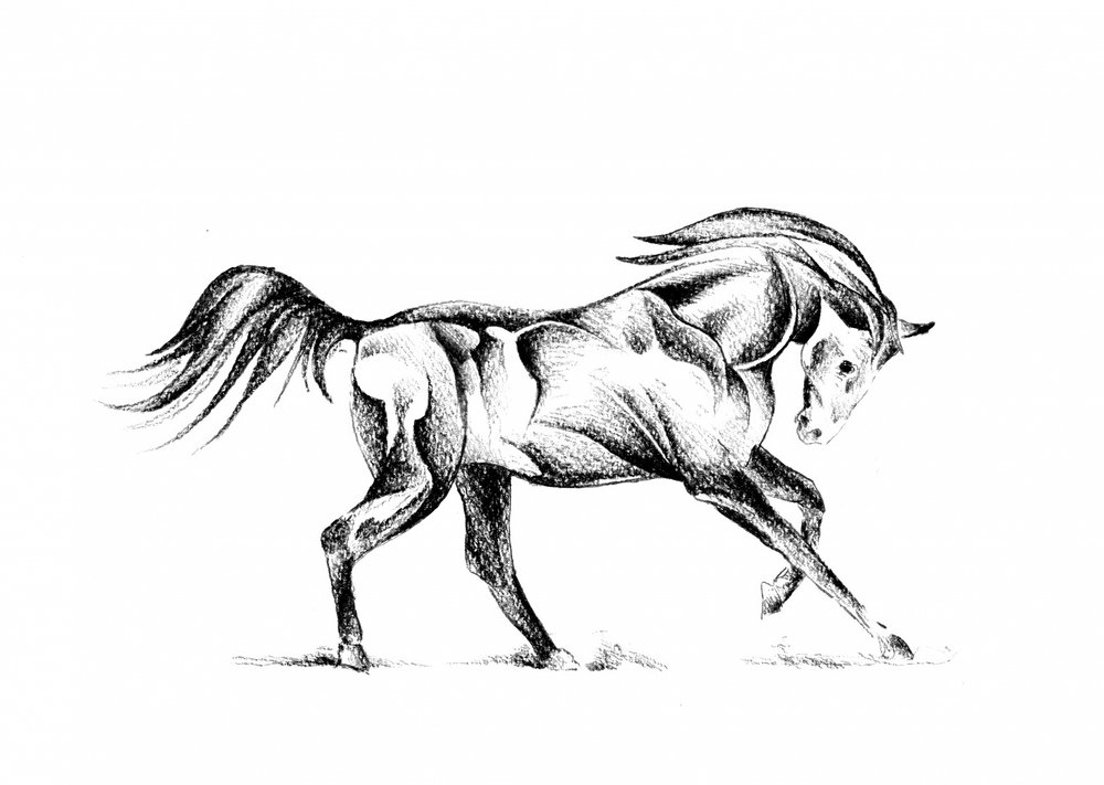  de Kulik
