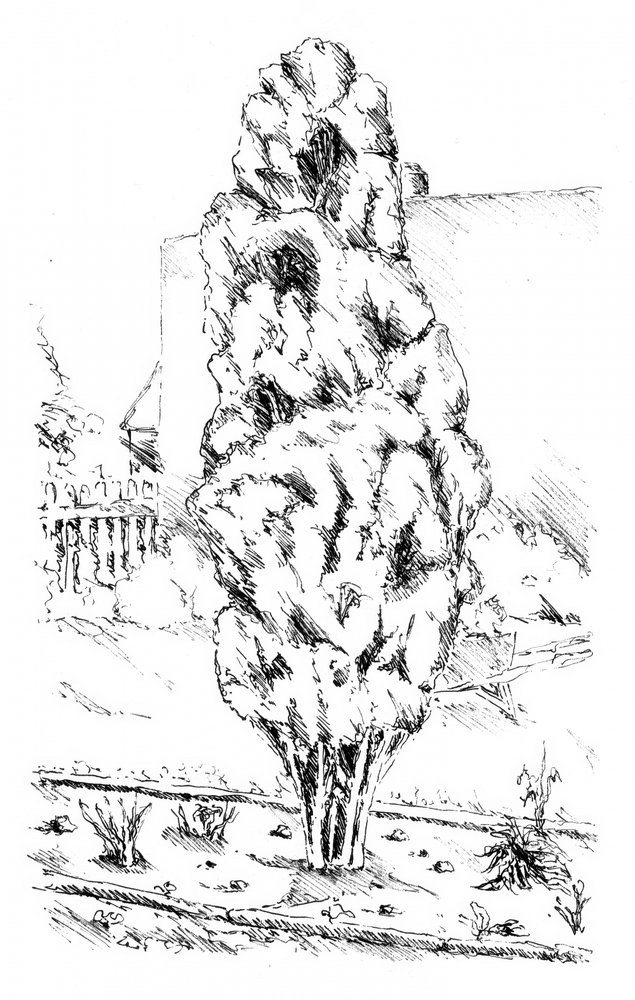  de Kulik