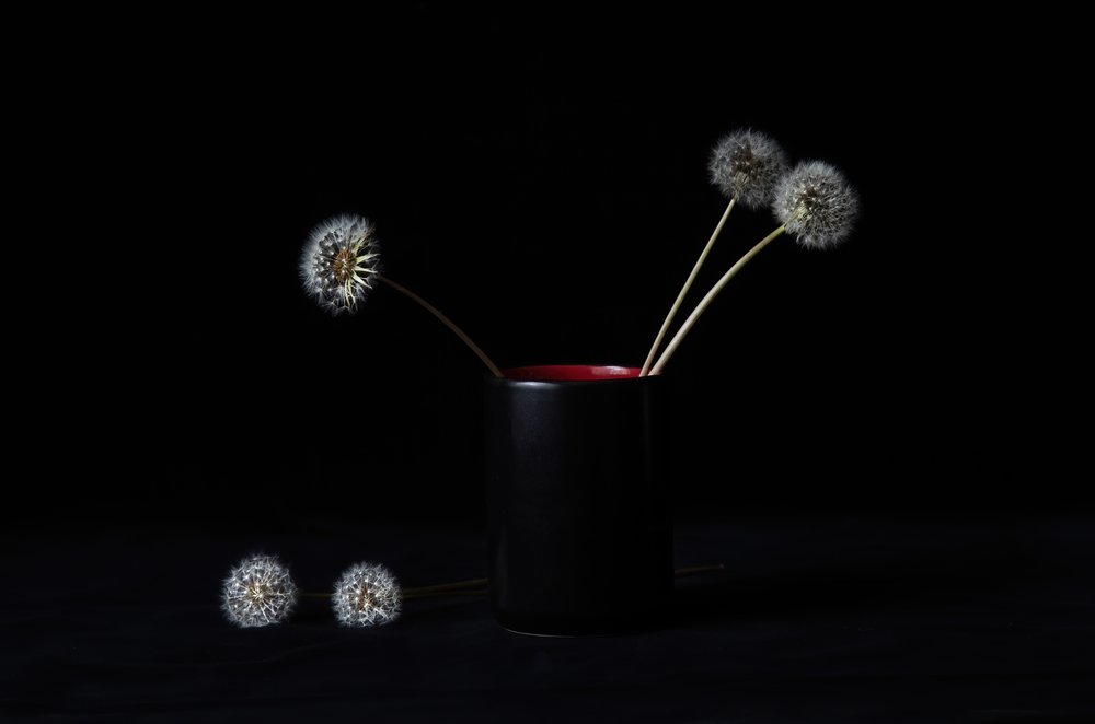 Vaso «Dandelions» Elegante de LM Meng
