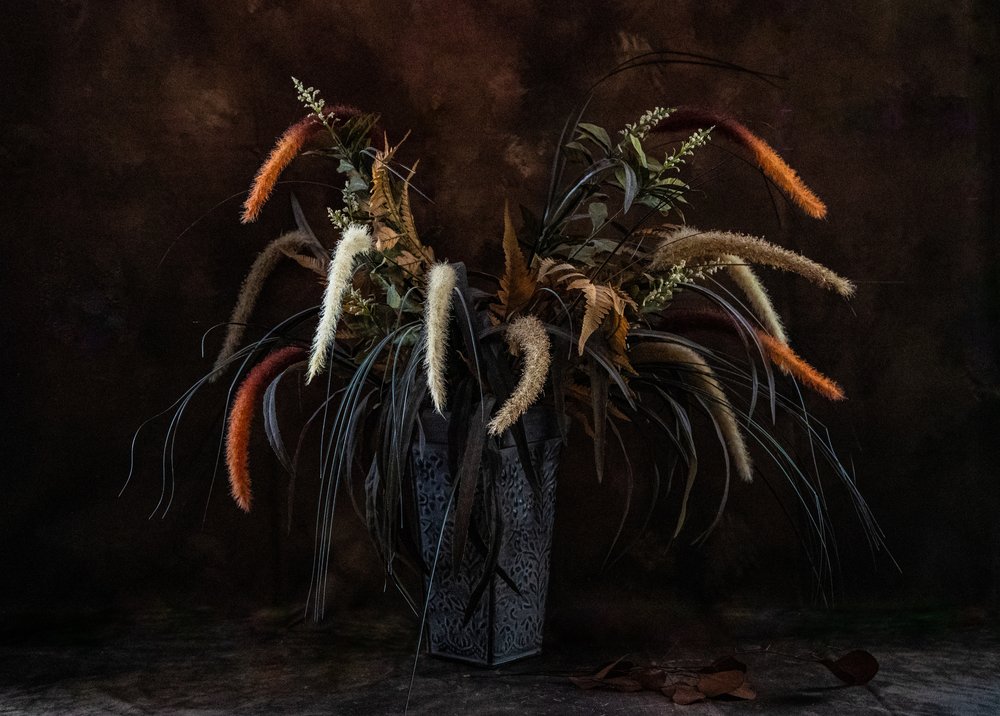 Moody - Plantas Secas de LM Meng