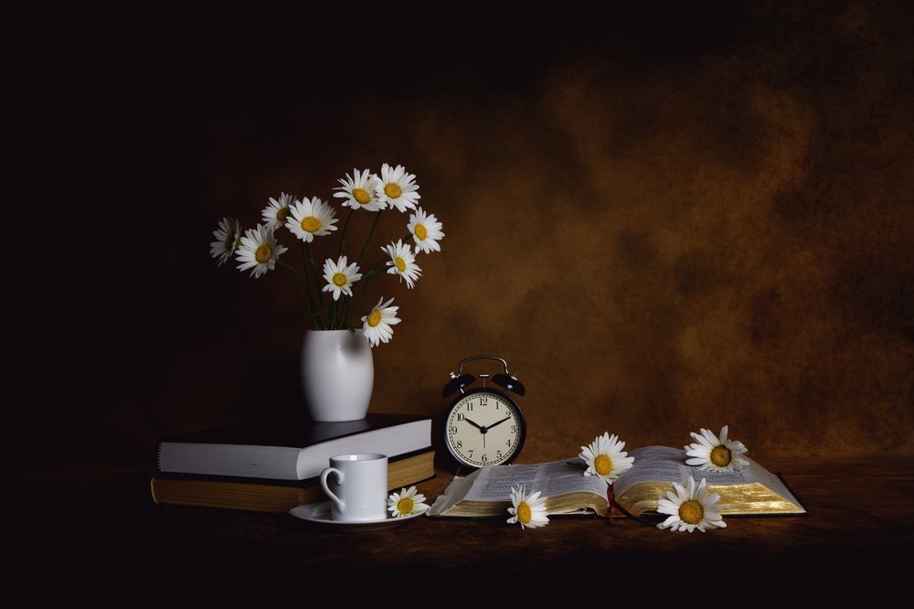 Livros Daisies: Paz Matinal de Leah Xu