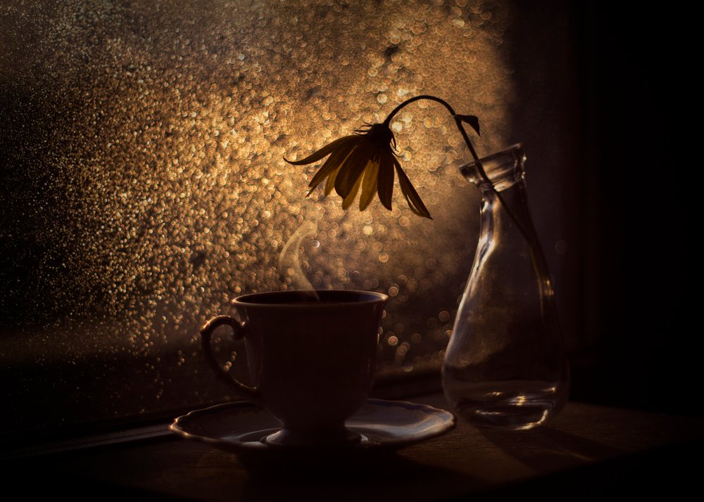 Flor de Café Luz Dourada de Lenka