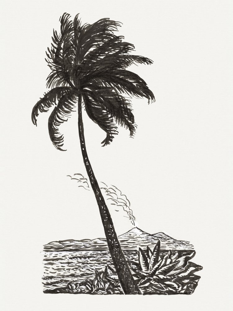 Palmeira com uma ilha (c. 1891–1941) de Leo Gestel