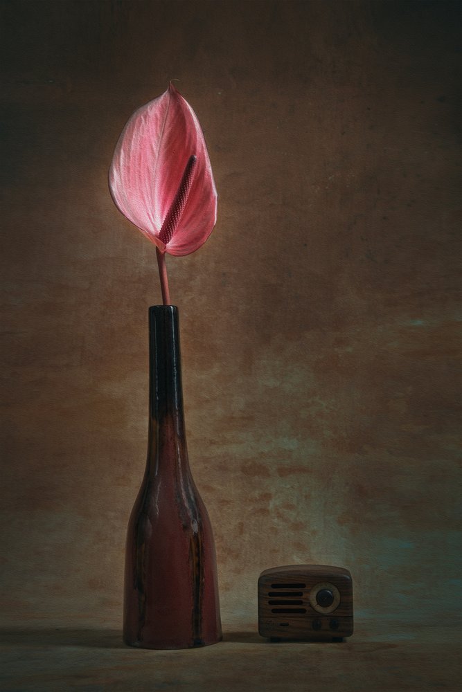 Anthurium elegante e rádio de Liu Xing