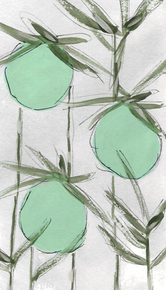 Resumo: Green Botanicals de Lori Ann Folz