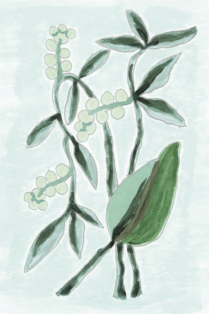 Aquarela Botânica Verde de Lori Ann Folz