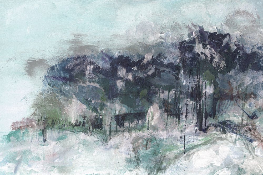 Floresta de inverno enevoada de Lori Ann Folz
