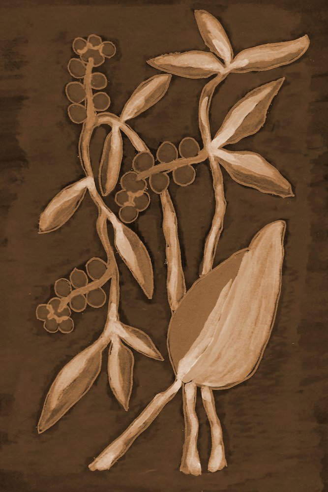 Produtos Botânicos Orgânicos da Sepia de Lori Ann Folz