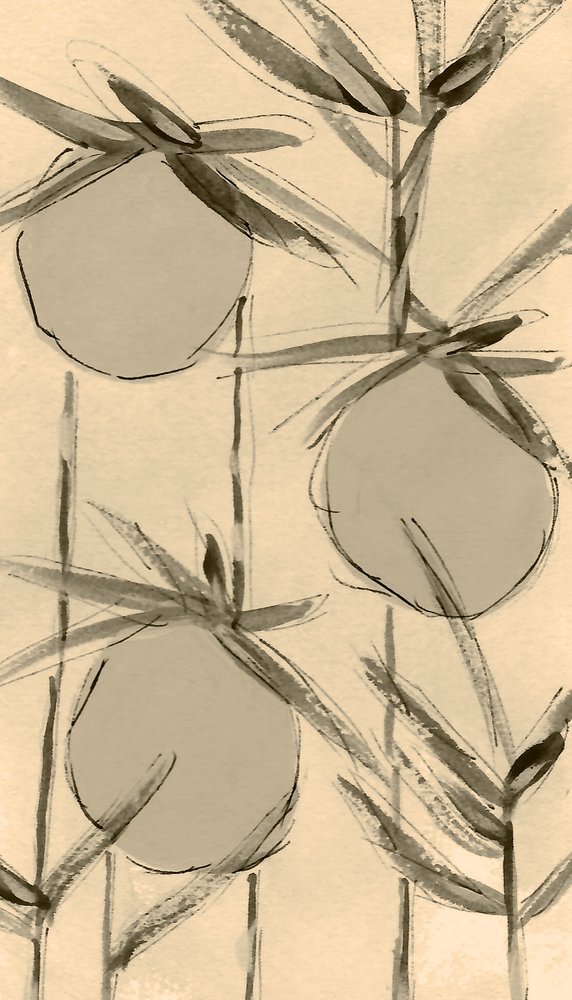 Plantas de algodão sépia de Lori Ann Folz