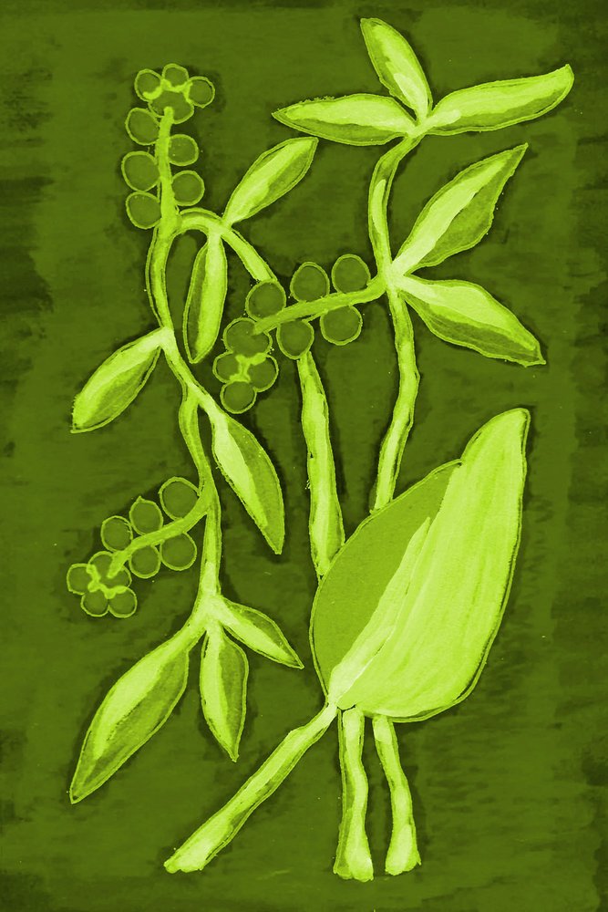 Folhagem verde vibrante de Lori Ann Folz