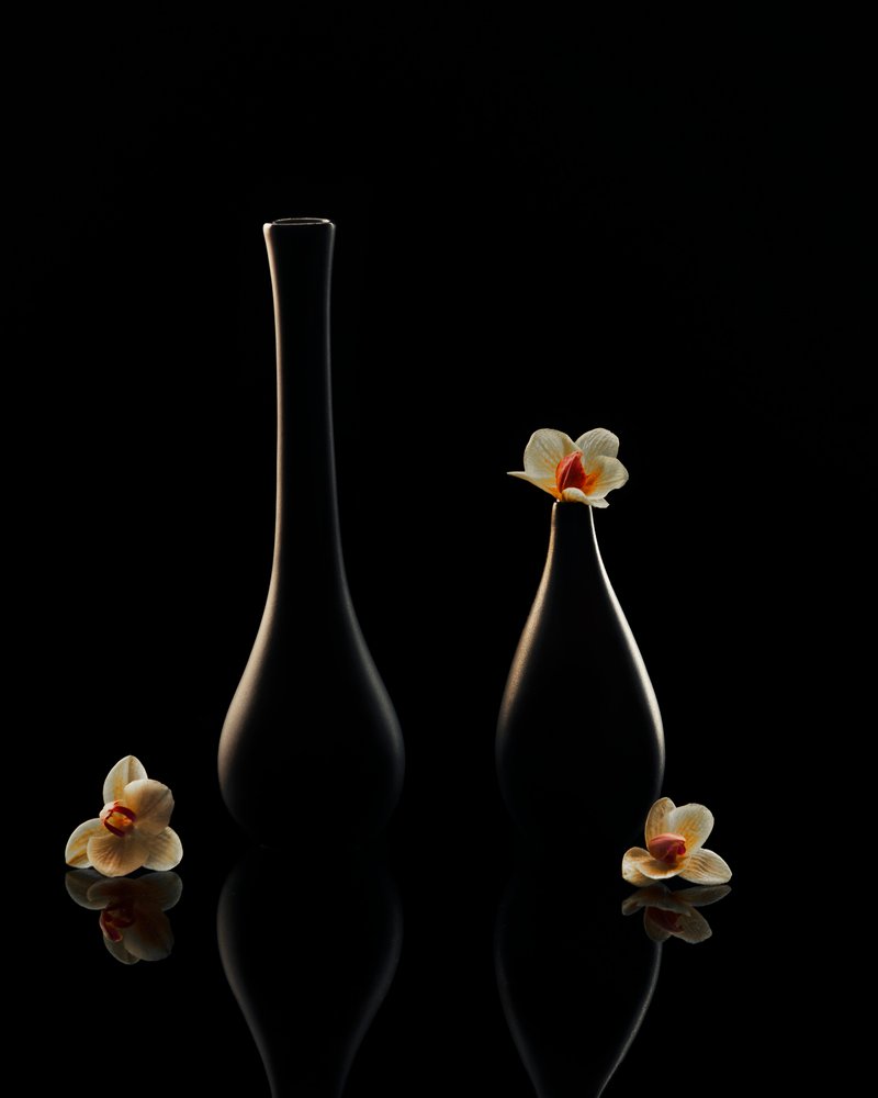 Reflexões Elegantes sobre as Orquídeas de Louie Luo