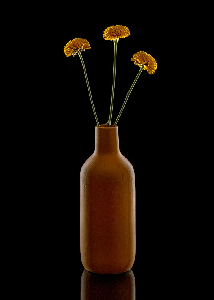 Vaso castanho «Warm Flowers» de Louie Luo