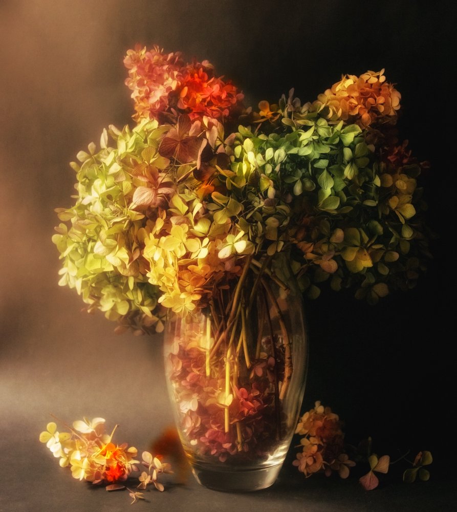 Natureza-morta com hortênsias a desvanecer de Ludmila Shumilova