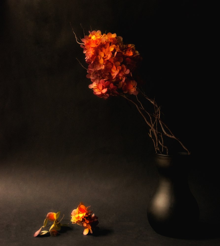 Flores outonais melancólicas de Ludmila Shumilova