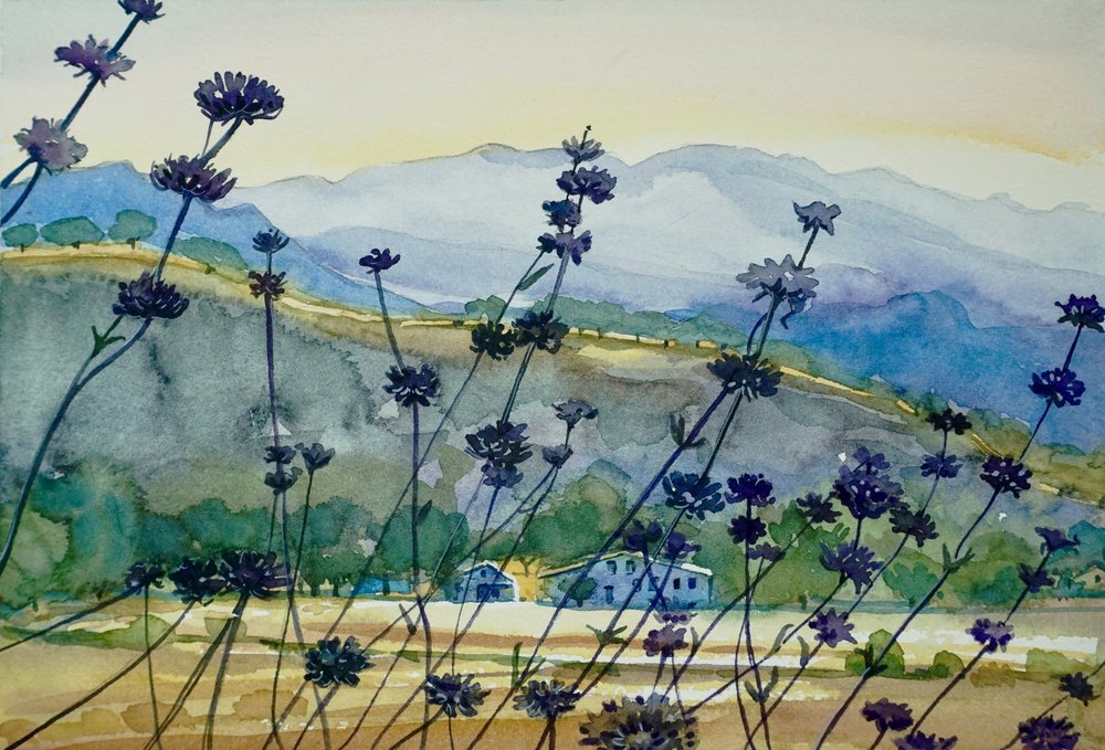 Vista da Montanha da Lavanda de Luisa Millicent