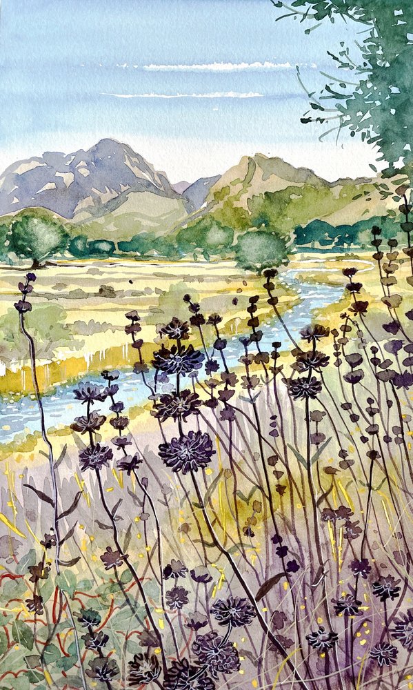 Flores silvestres das montanhas e dos rios de Luisa Millicent