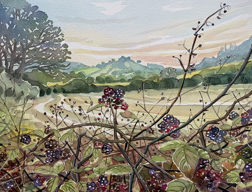 Paisagem de amoras maduras de Luisa Millicent