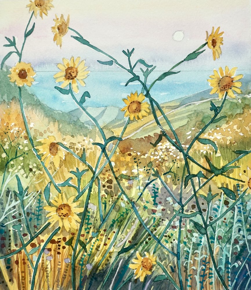 Flores silvestres ao sol com vista para o mar de Luisa Millicent