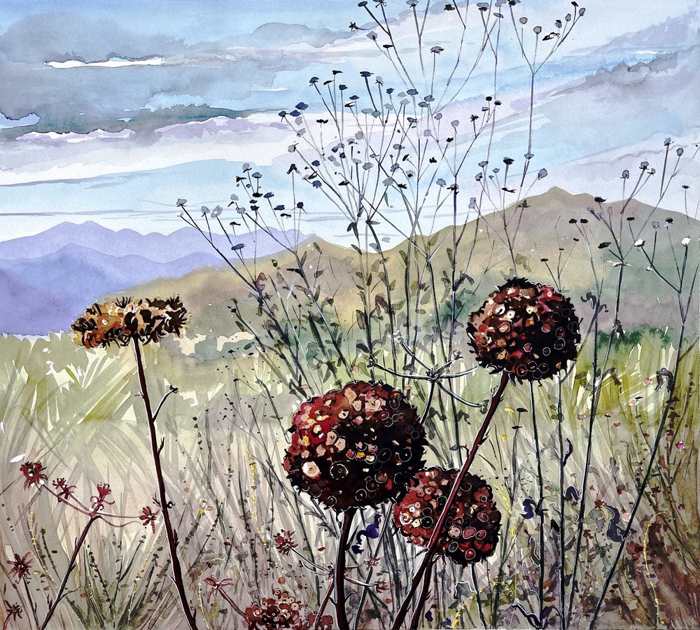 Flores silvestres e montanhas de Luisa Millicent