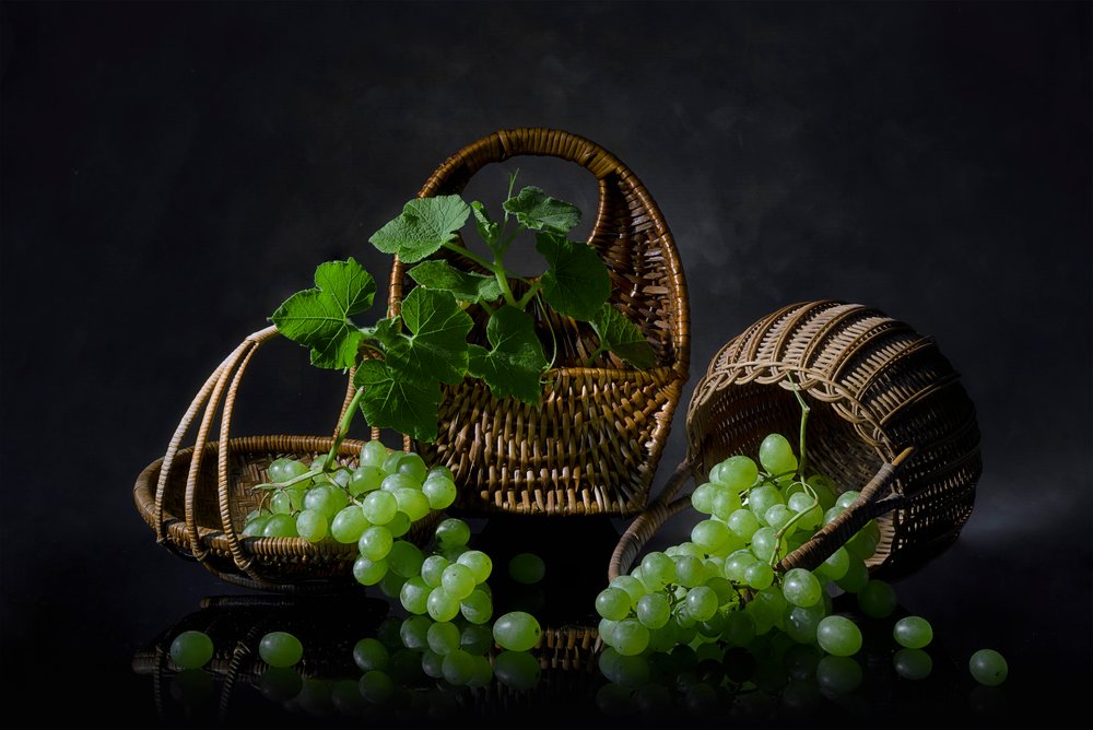 Natureza morta com uvas em abundância de Lydia Jacobs