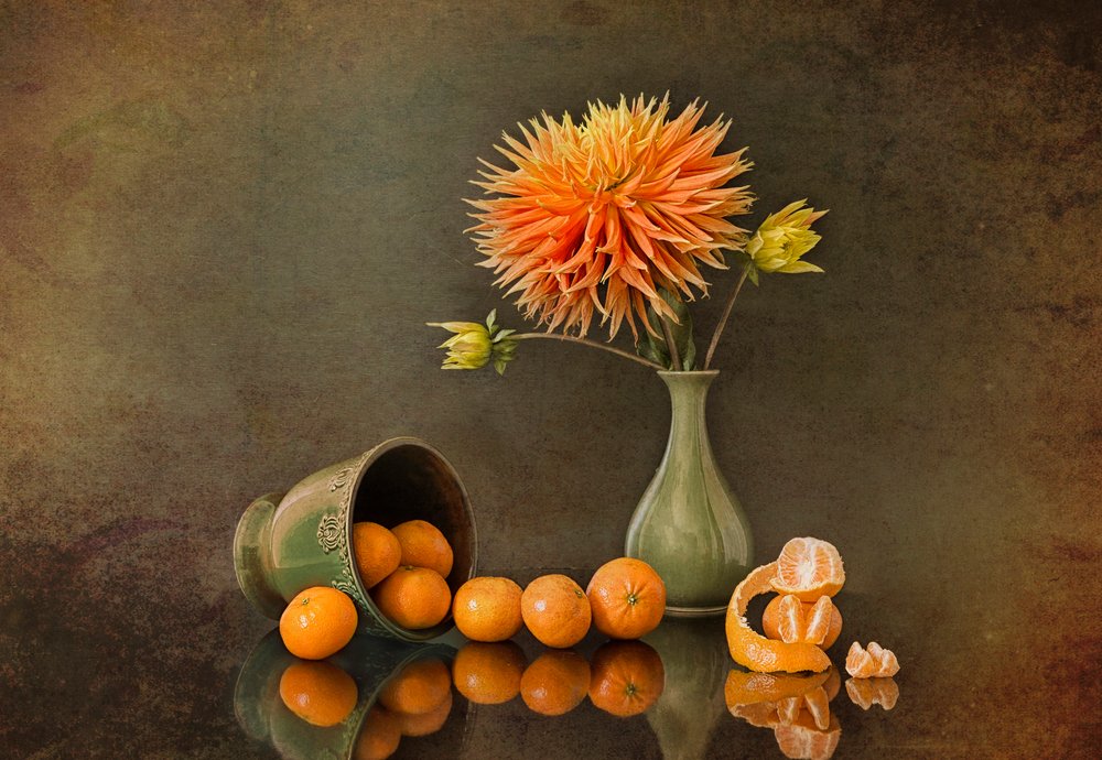 Dália de outono e tangerinas de Lydia Jacobs