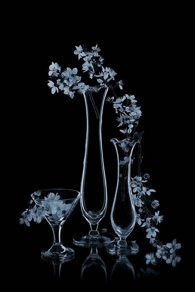 Flores azuis em vasos de vidro de Lydia Jacobs