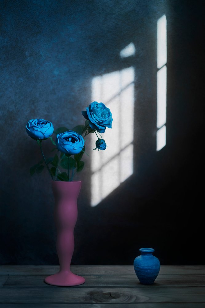 Luz de janela «Rosas Azuis» de Lydia Jacobs