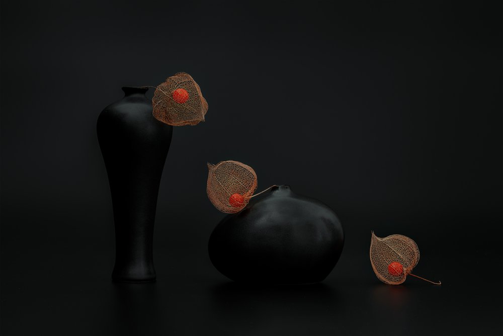 Lanternas chinesas em vasos pretos de Lydia Jacobs