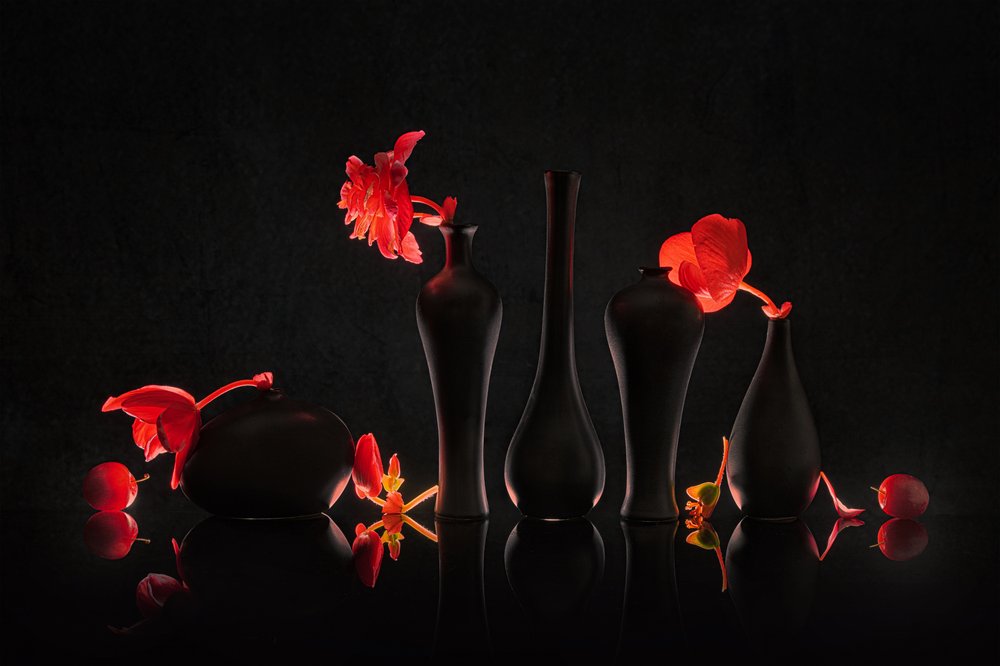 Flores Carmesim em Vasos Pretos de Lydia Jacobs