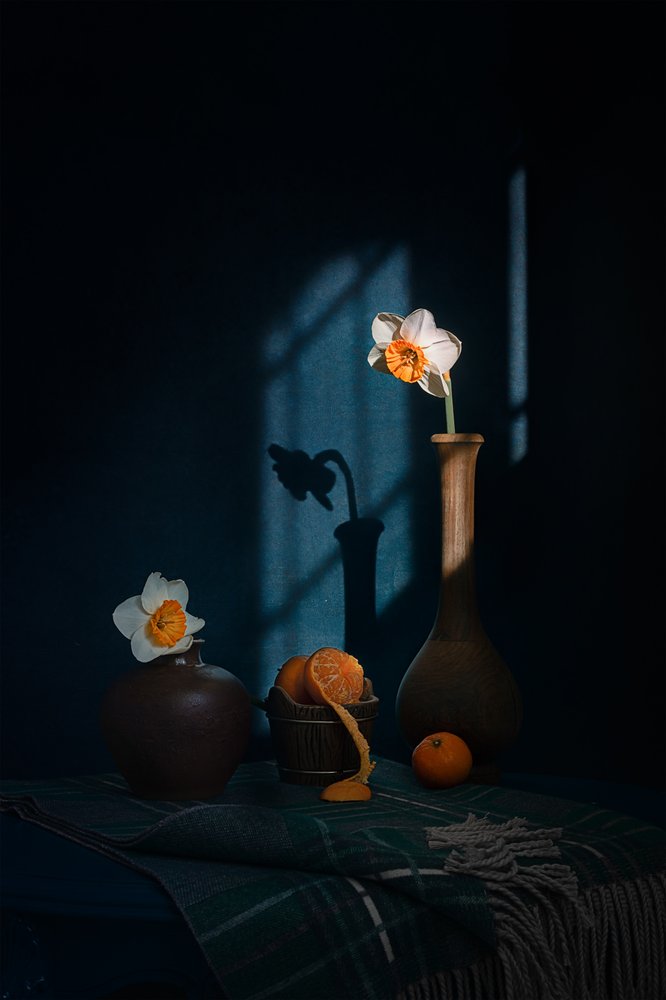 Narcisos e Sombras Cítricas de Lydia Jacobs