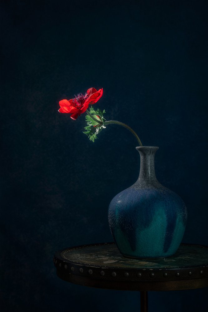 Vaso «Dark Anemone» de Lydia Jacobs