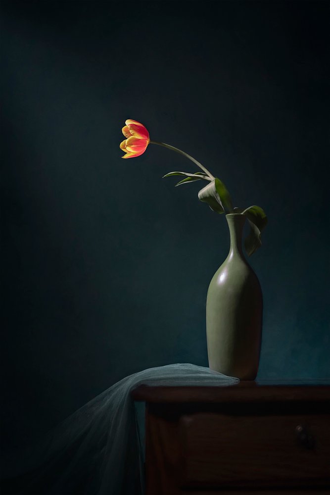 Natureza morta floral sombria de Lydia Jacobs