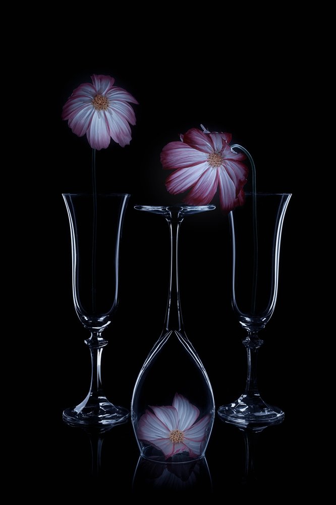 Copos de champanhe «Delicate Blooms» de Lydia Jacobs