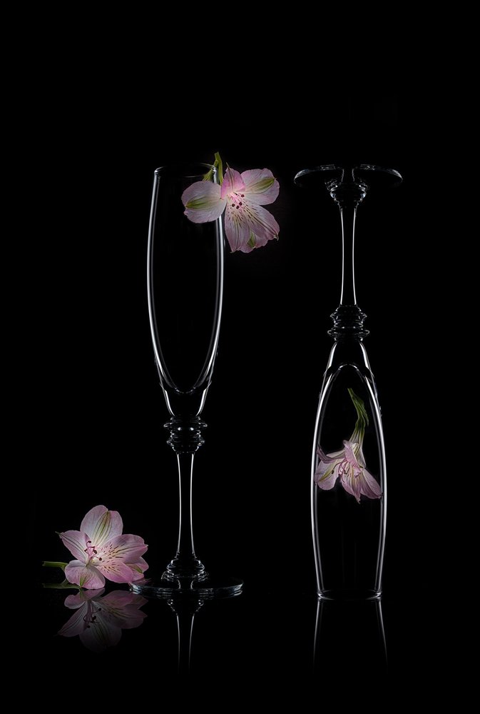 Elegância floral delicada de Lydia Jacobs