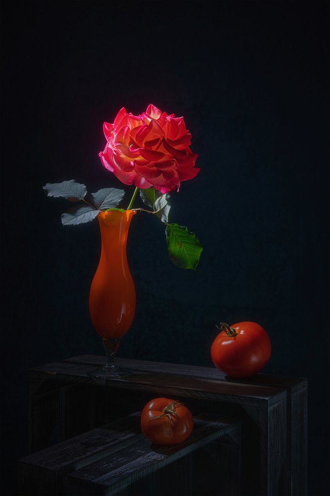 Natureza morta dramática com rosas de Lydia Jacobs